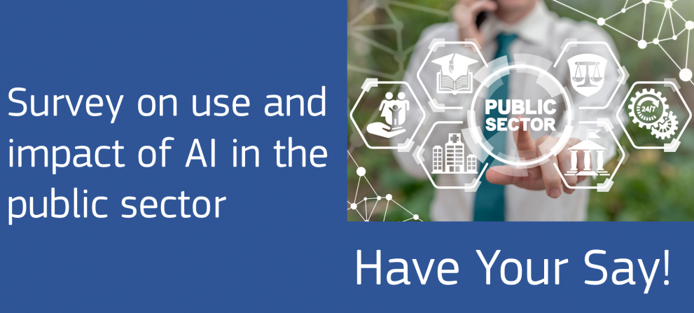 Survey on Artificial Intelligence use in the public sector