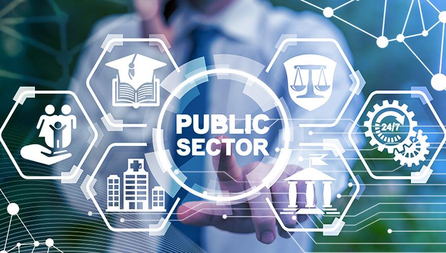 Public sector