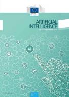 Artificial Intelligence: A European Perspective thumb
