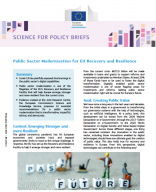Public Sector modernisation policy brief image