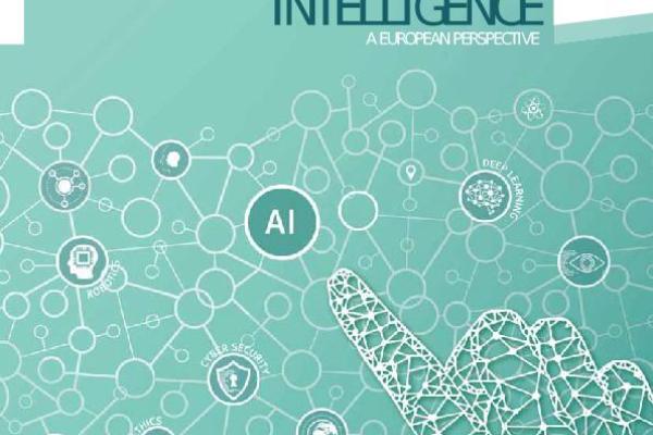 Artificial Intelligence: A European Perspective thumb