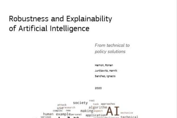 Robustness and Explainability of Artificial Intelligence