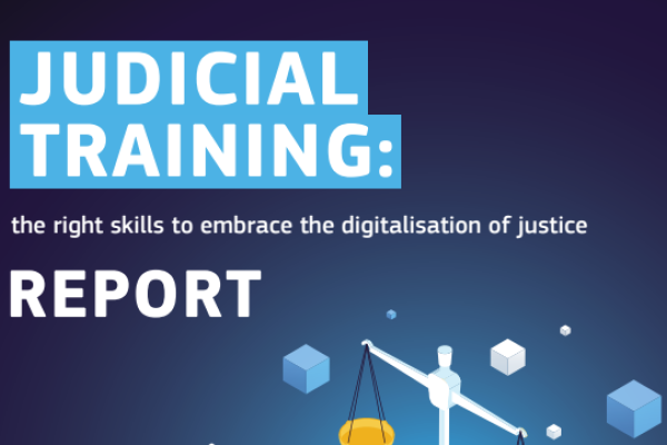 Judicial Training Report