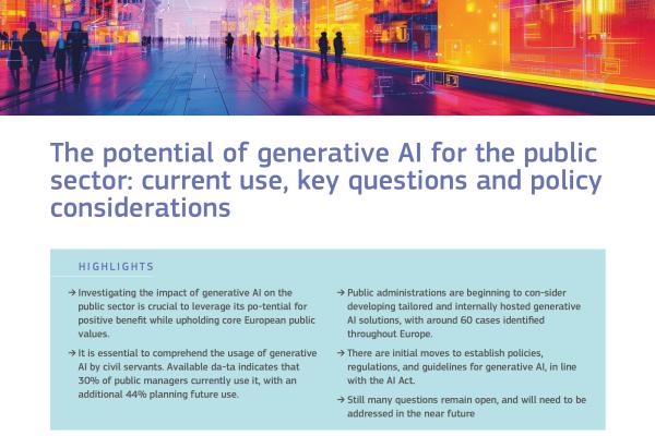 The potential of generative AI for the public sector: current use, key questions and policy considerations